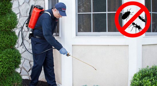 Çakmaklı Böcek İlaçlama böcek ilaçlama ve haşere kontrolü — ilaclama-tr.com